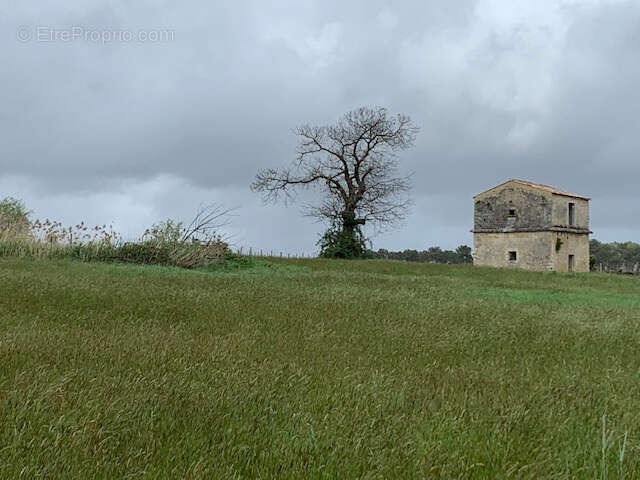 Terrain à SAINT-BONNET-SUR-GIRONDE