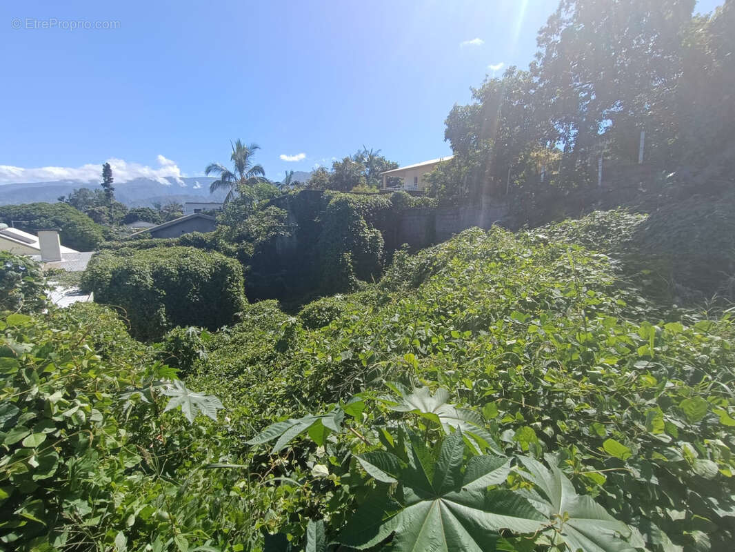 Terrain à LE TAMPON
