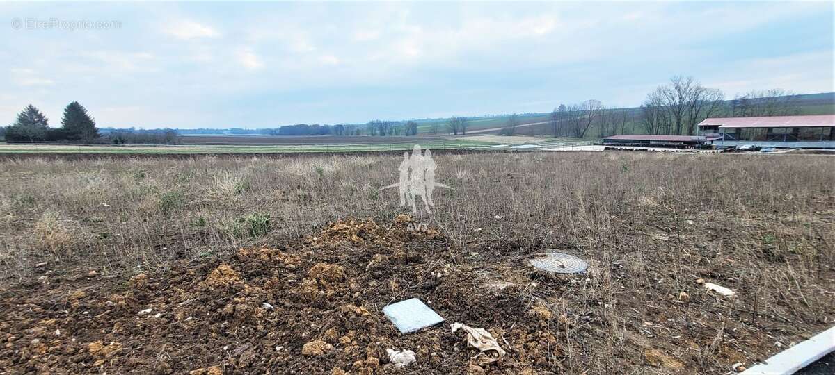 Terrain à OSTHOFFEN