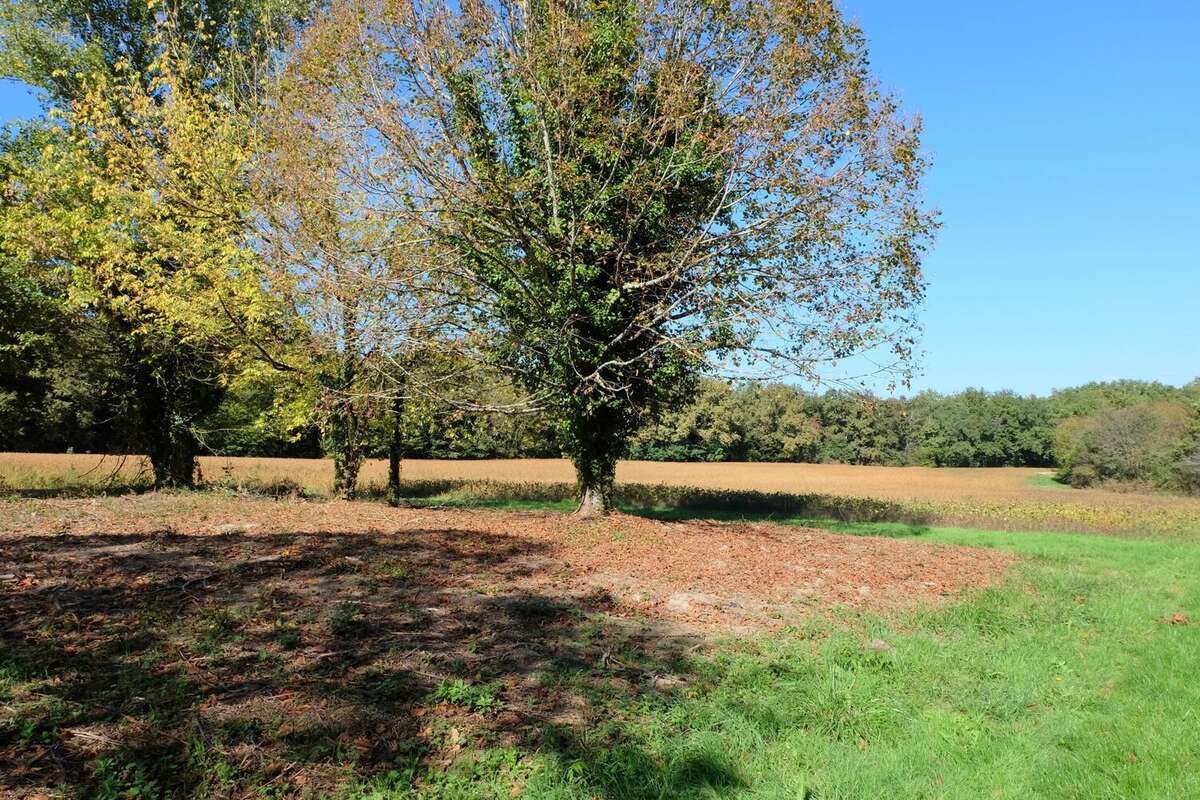 Maison à MIRAMONT-DE-GUYENNE