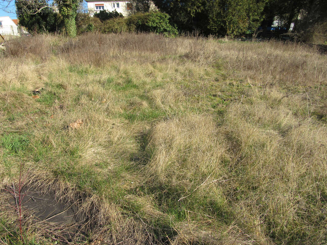 Terrain à SAINT-CALAIS