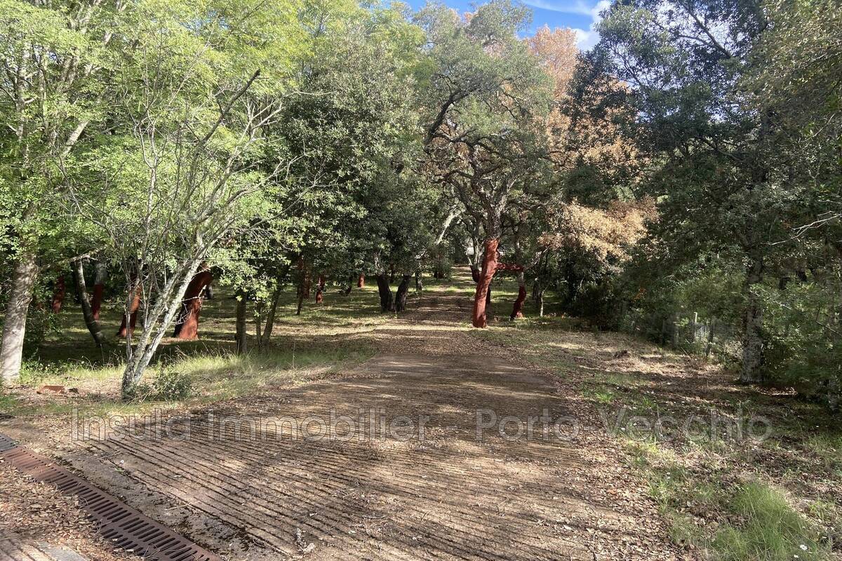 Maison 151 m² à Porto-Vecchio  - photo 3