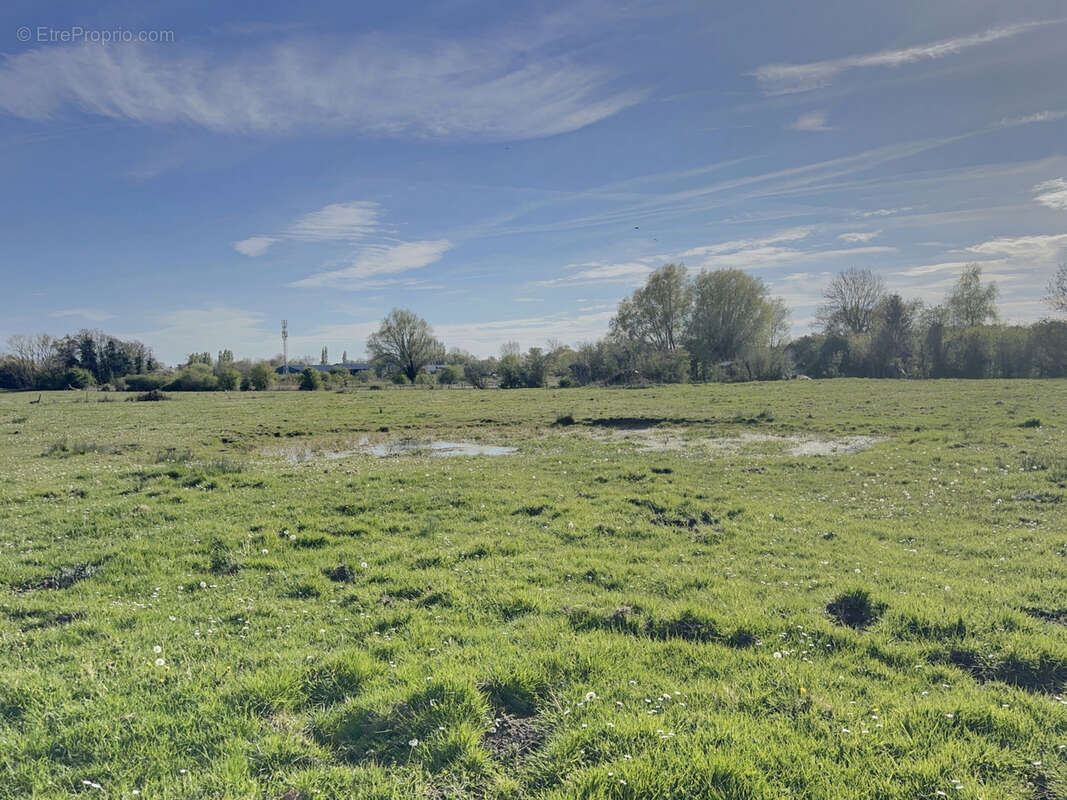 Terrain à SAINT-QUENTIN-EN-TOURMONT