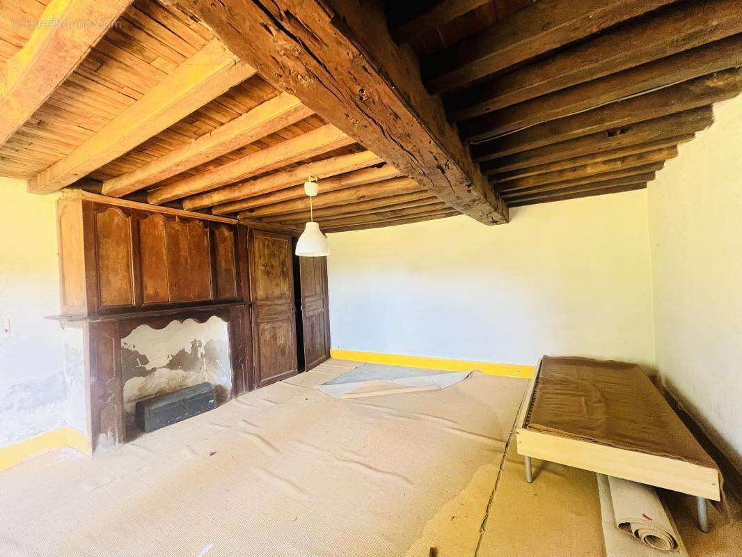 Maison 450 m² à Mezieres-Sur-Issoire  - photo 8