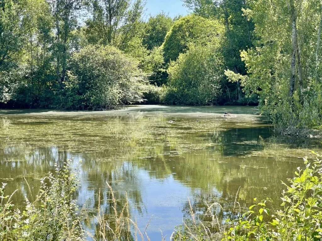 Maison à CAMBOUNET-SUR-LE-SOR