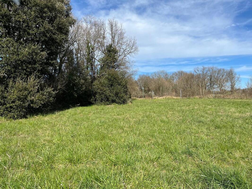 Terrain à CHERVES-RICHEMONT