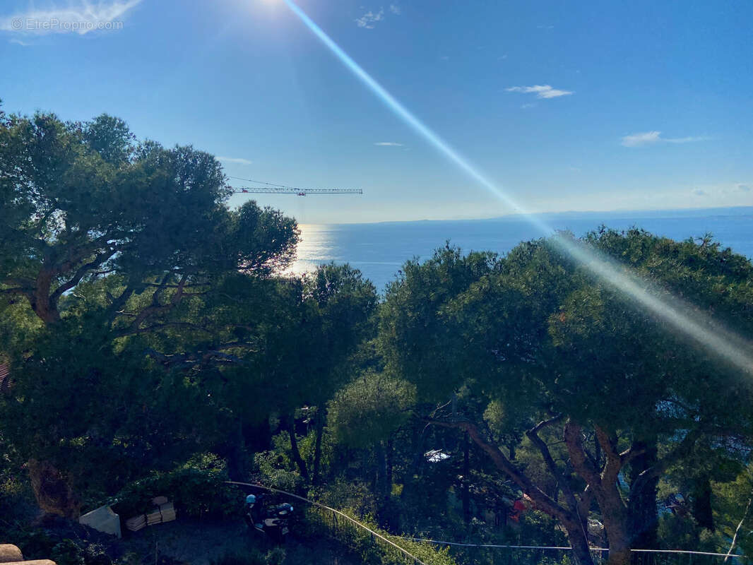 Cœur Saint-Jean Cap Ferrat magnifique projet de villa. - photo 4