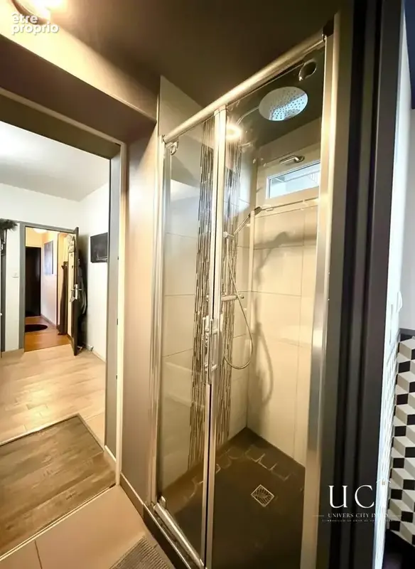 Maison 149 m² à Avrille  - photo 9