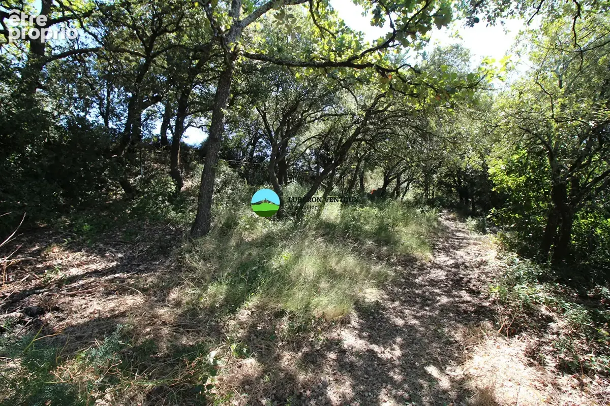 Maison Aubignan 150 m² dans un environnement exceptionnel sur 1500 m² avec piscine - photo 12
