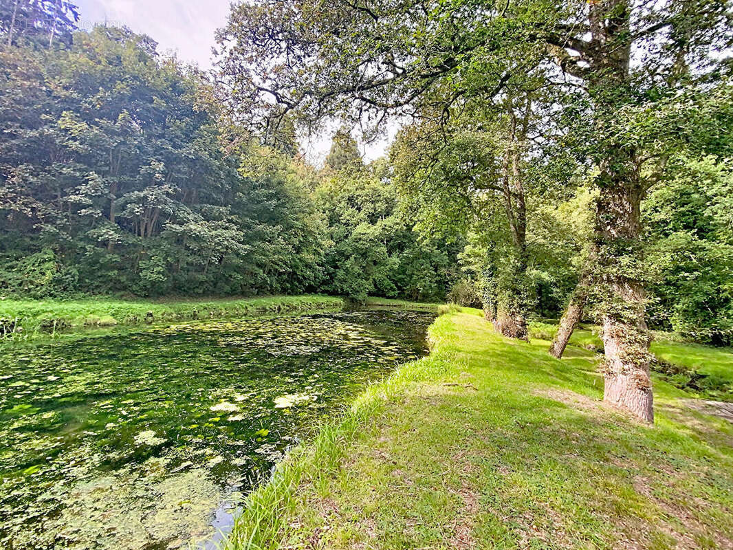 Maison à PLOREC-SUR-ARGUENON