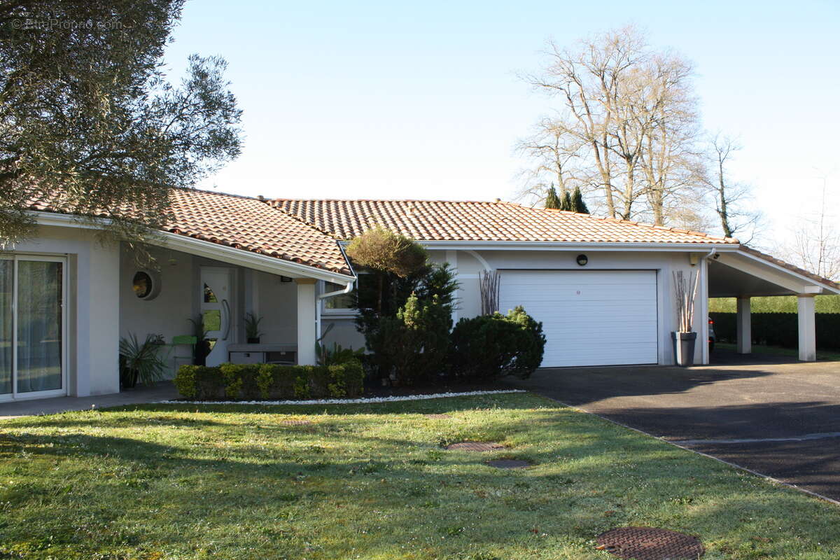 Photo-2025/030953-1-3 - Autre à MONT-DE-MARSAN