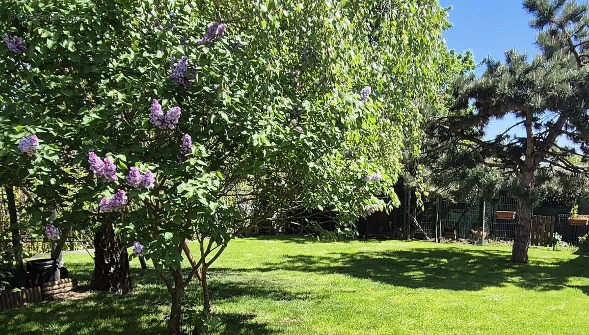 Maison à SAINT-DIZIER