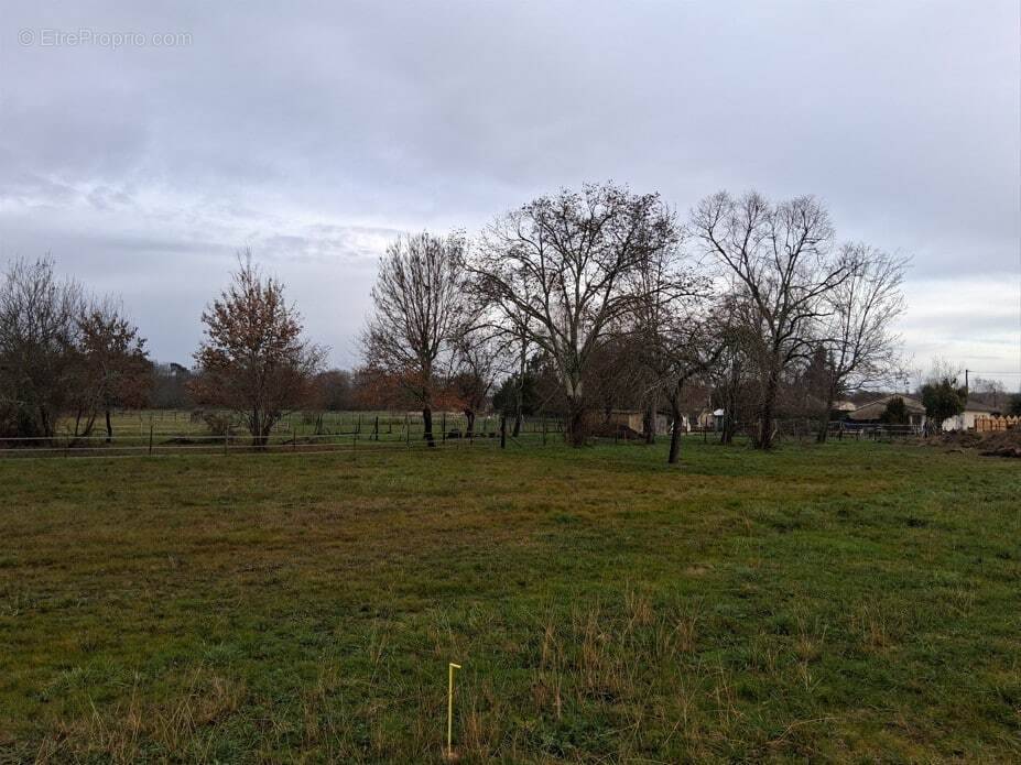Terrain à LA FORCE