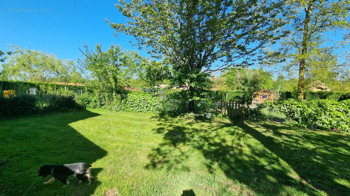 20240419_171047 - Maison à SAINT-ESTEPHE