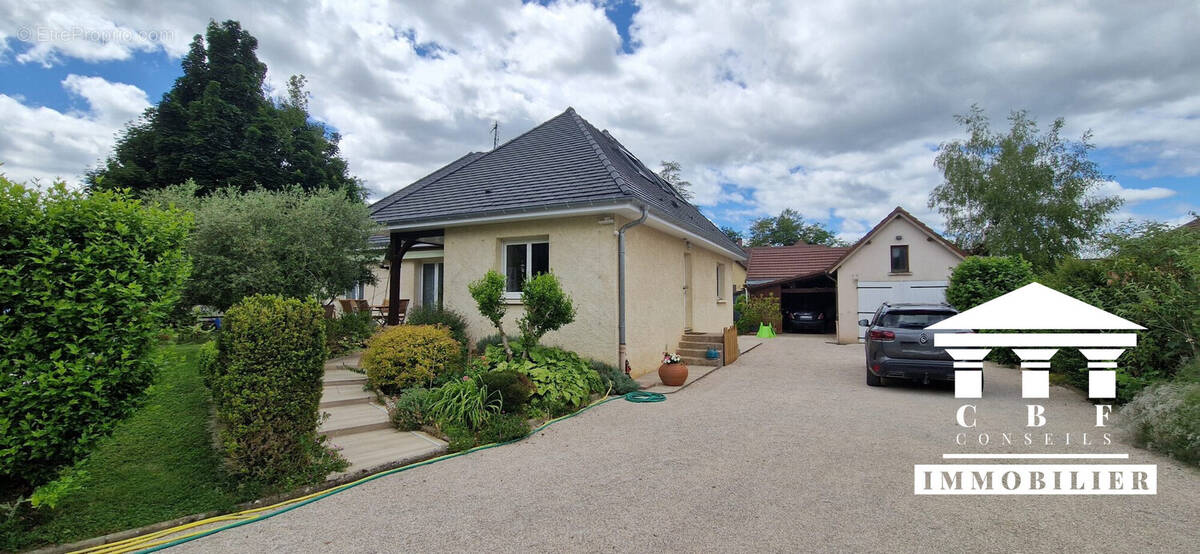 Maison à SASSENAY