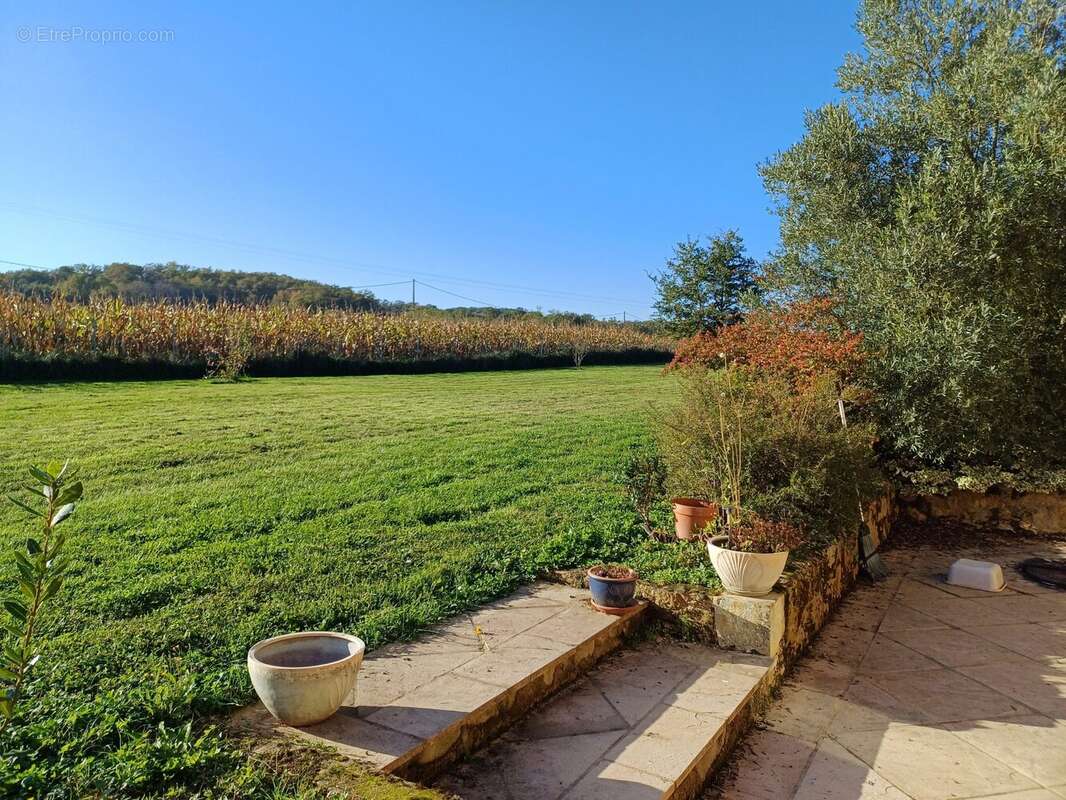 Marciac, Gers maison de caractère, gîte séparé, emplacement isolé, potentiel de revenus, jardin   Marciac, Gers character house, separate gite, secluded location, income potential, jardin - Maison à MARCIAC