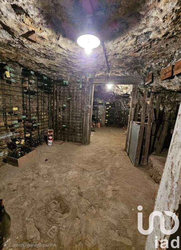 Photo 3 - Maison à LANGEAIS