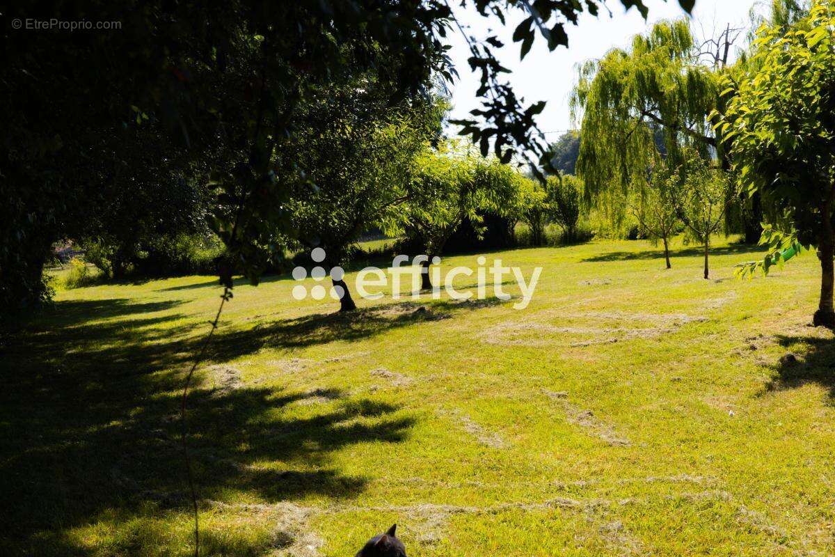 Maison 608 m² à Baix  - photo 21