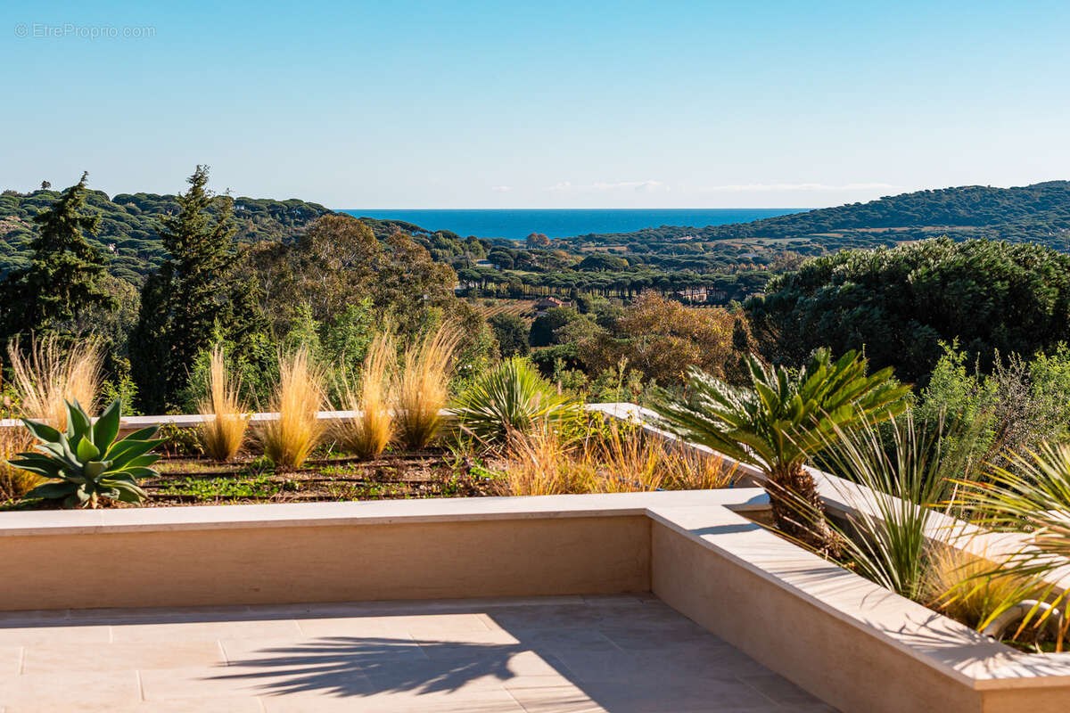 Maison à RAMATUELLE