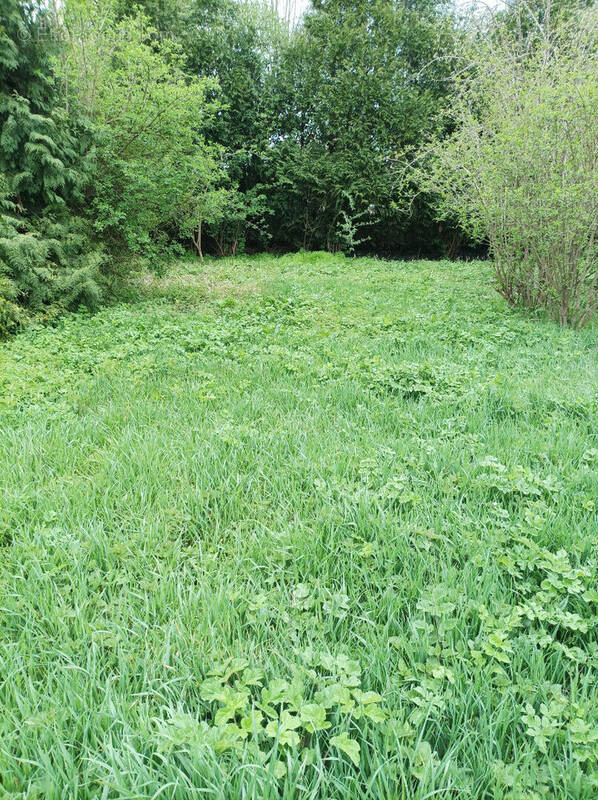 Terrain à MOY-DE-L&#039;AISNE