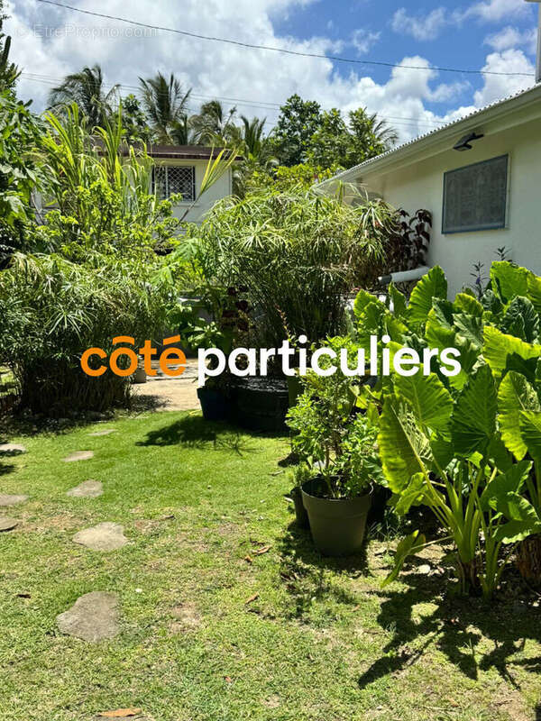 Maison à LE GOSIER