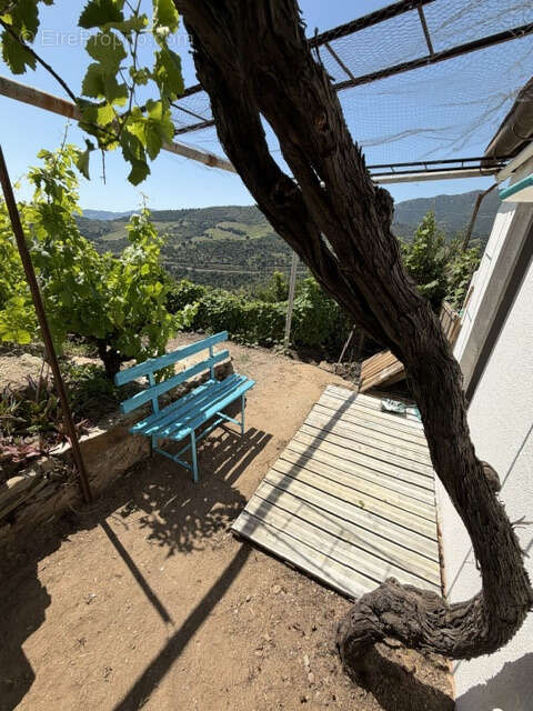Terrain à COLLIOURE