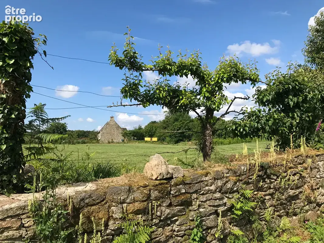 EXCLUSIVITE Maison de pays Chaleureuse et claire, belles prestations, grand terrain - photo 2