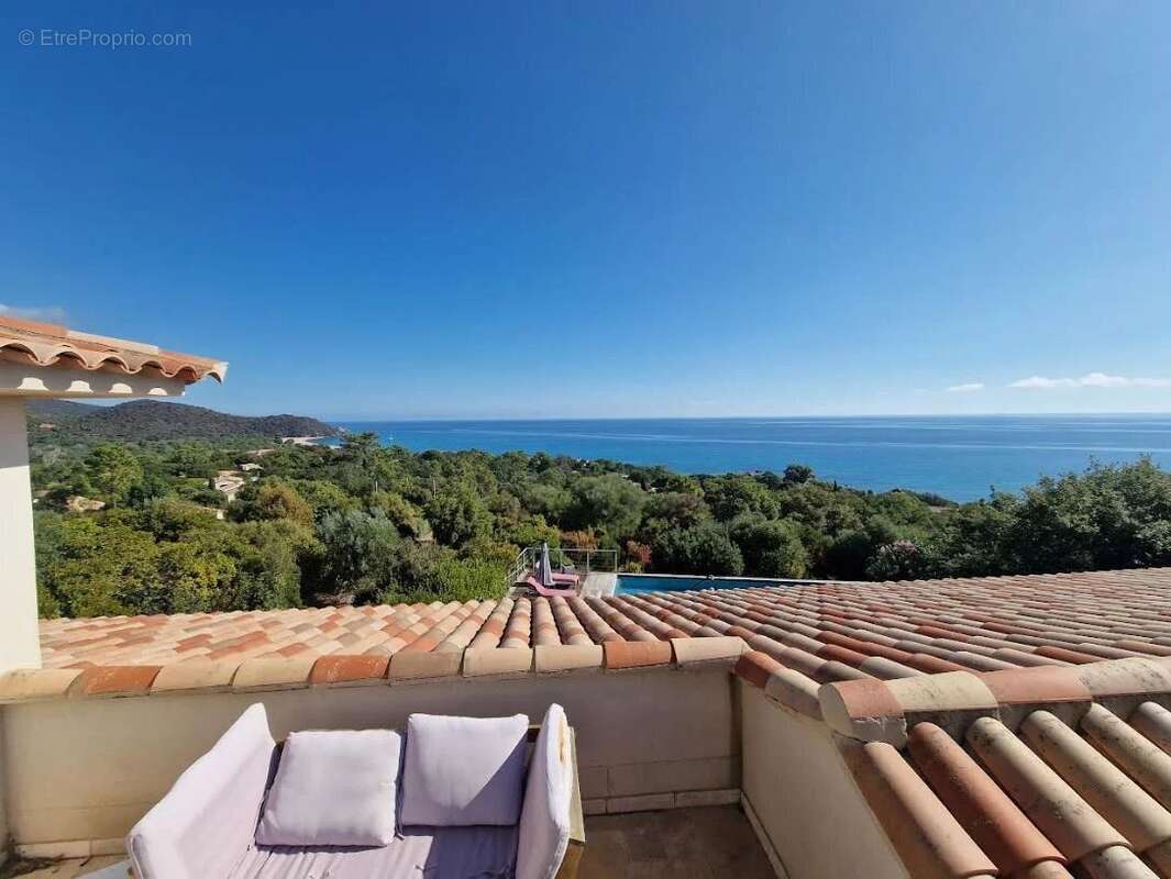 Maison à PORTO-VECCHIO