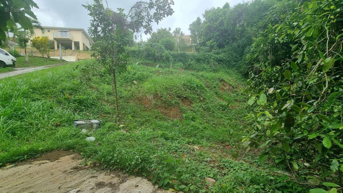 Terrain à FORT-DE-FRANCE