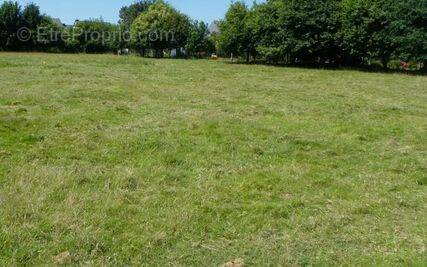 Terrain à OLLAINVILLE