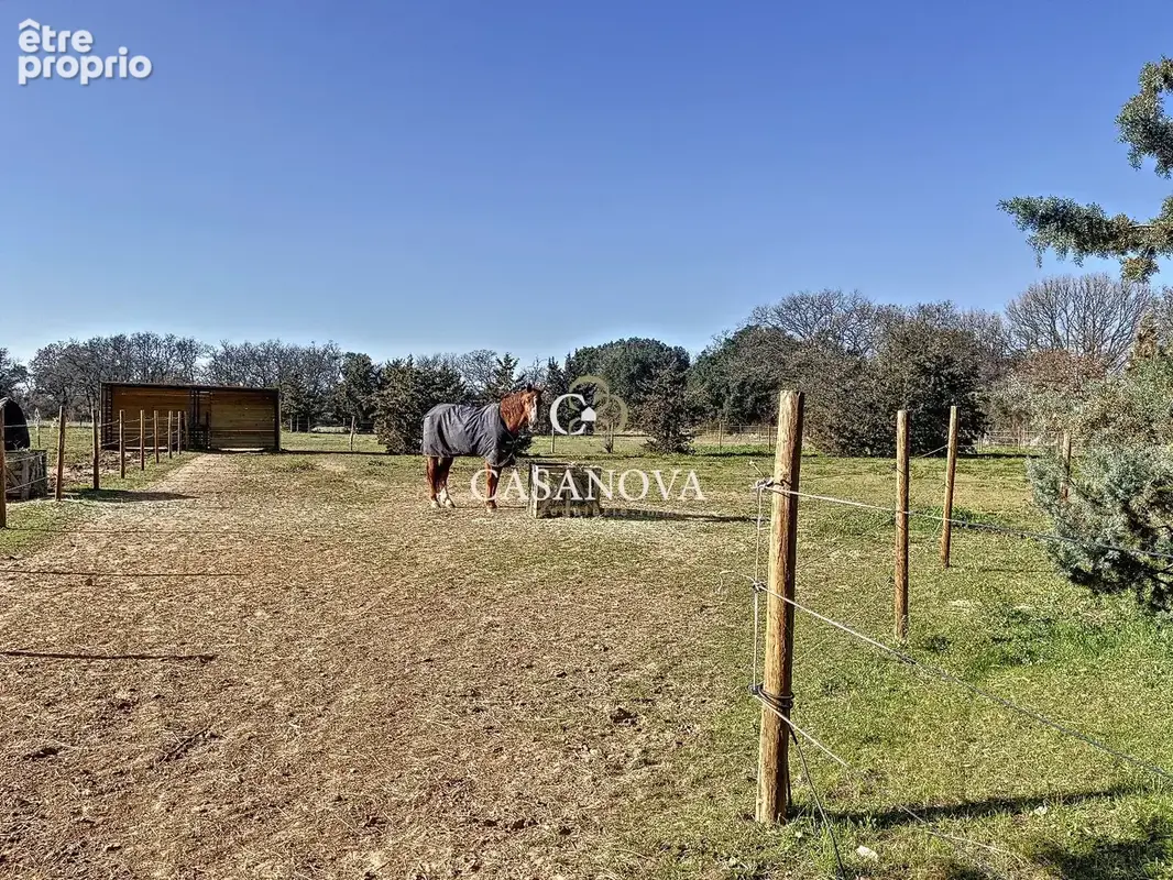Propriété 5 hectares - Villa et dépendances :  331 m2 habitables - piscine - oliveraie - enclos chevaux - photo 19