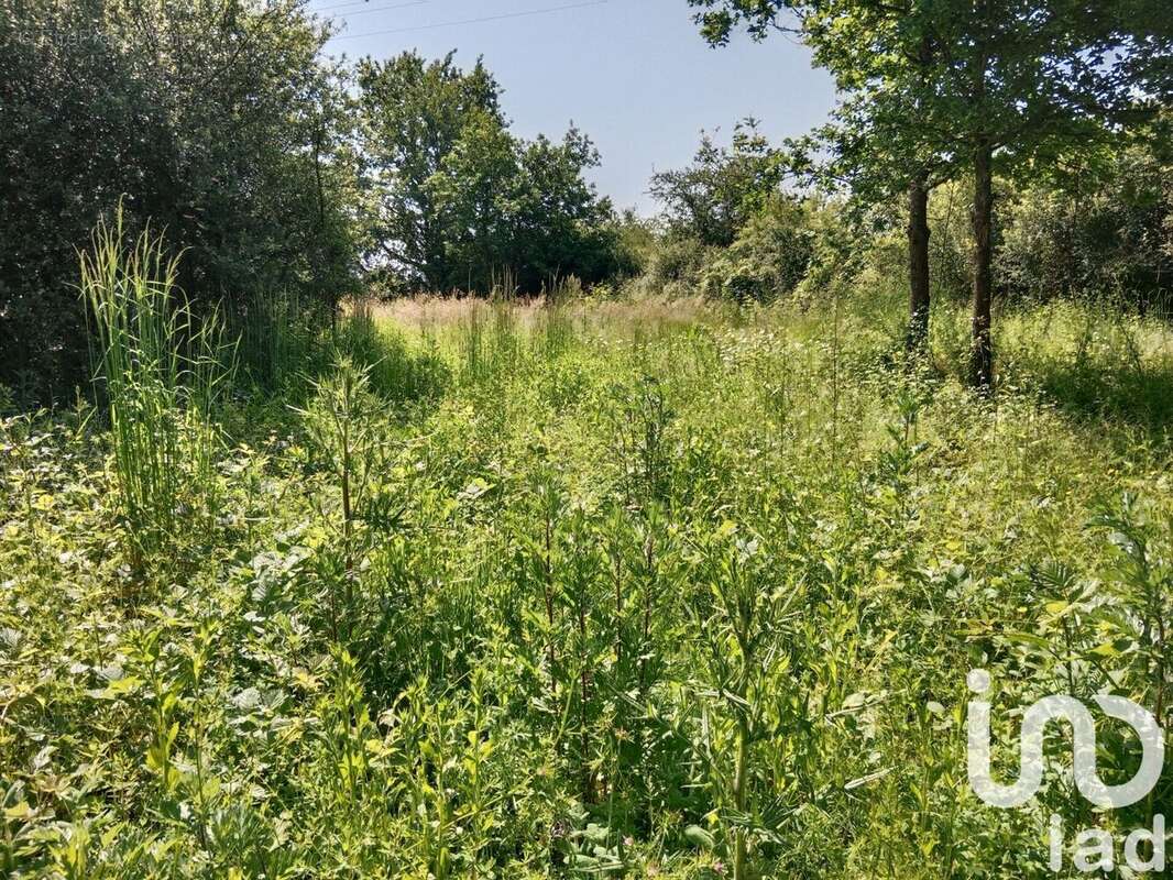 Photo 5 - Terrain à VITRY-EN-CHAROLLAIS