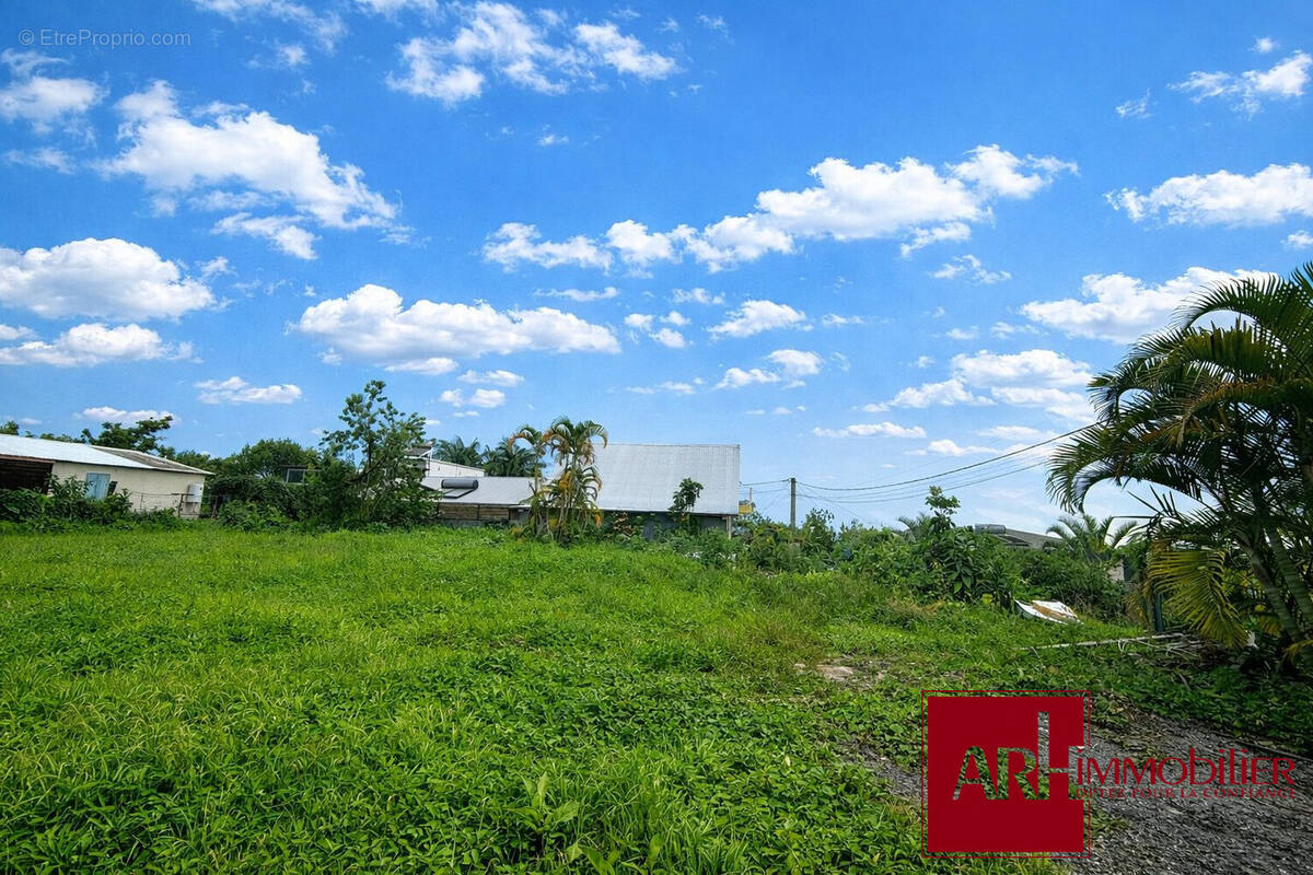 Terrain à LE TAMPON