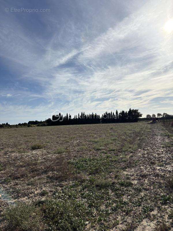 Terrain à SAINT-HIPPOLYTE
