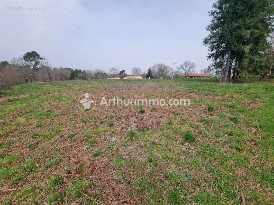 Terrain à batir de 7900 m² - photo 3