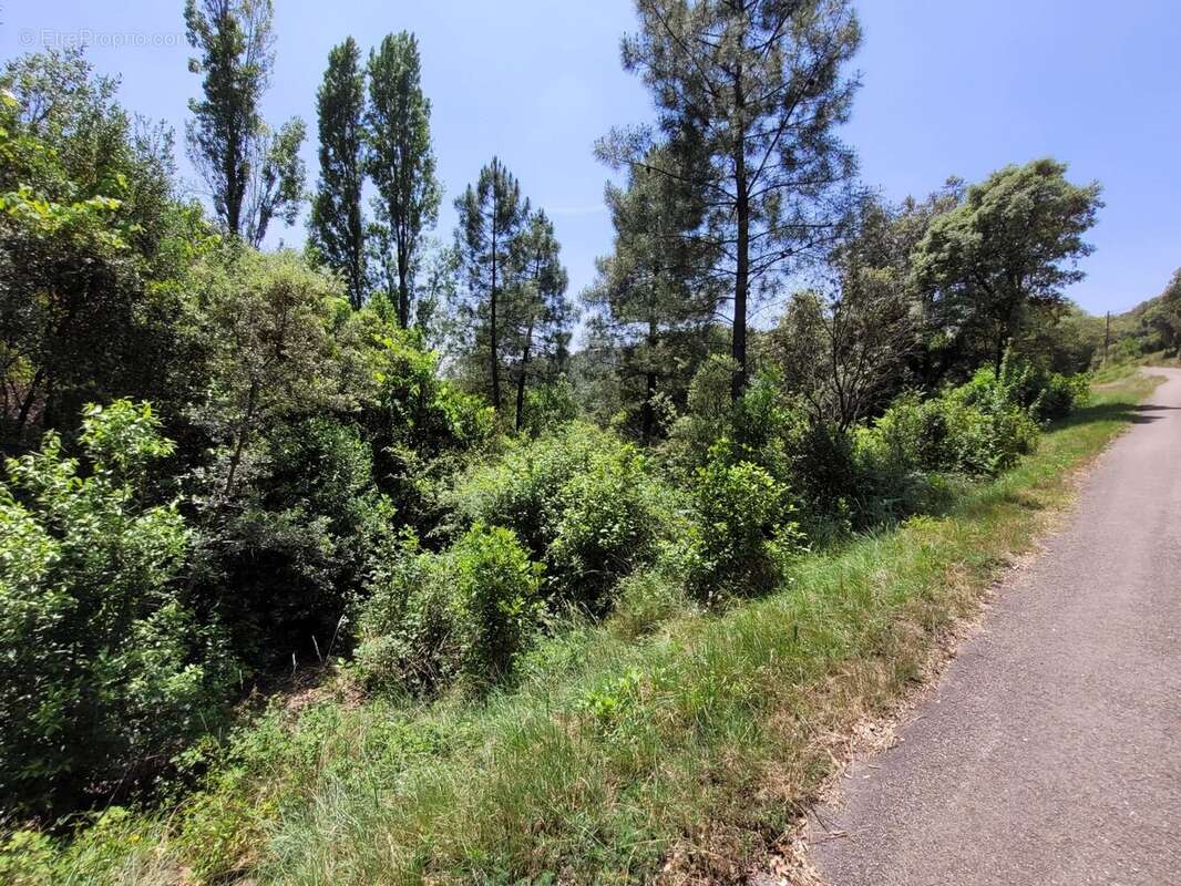 Terrain à SAINT-JULIEN-LES-ROSIERS