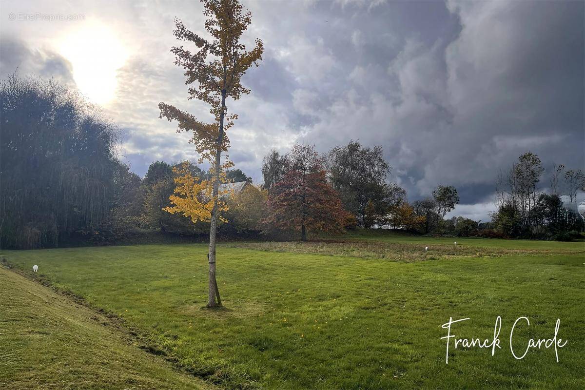 Terrain à DOUDEVILLE