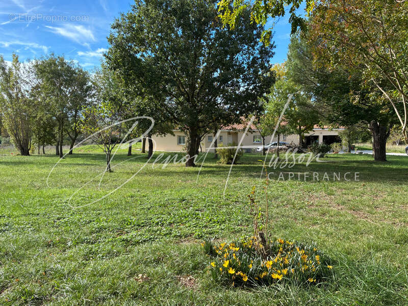 Maison à CINTEGABELLE