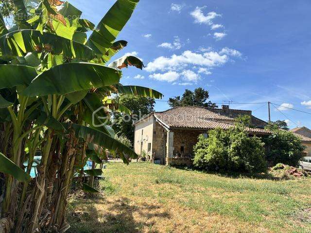 Belle maison du XIXe siècle  rénovée      178m2 et 4783m2 de parc                    190000€  St  Pey de Castets - photo 19