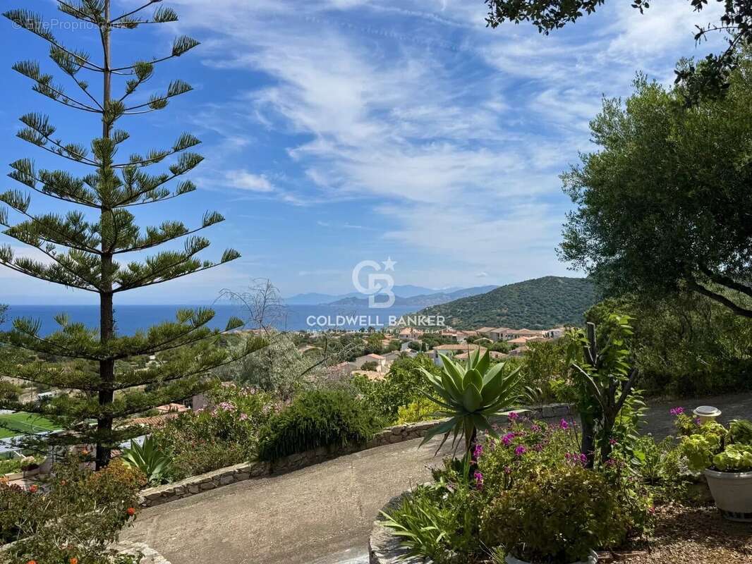 Maison à L&#039;ILE-ROUSSE