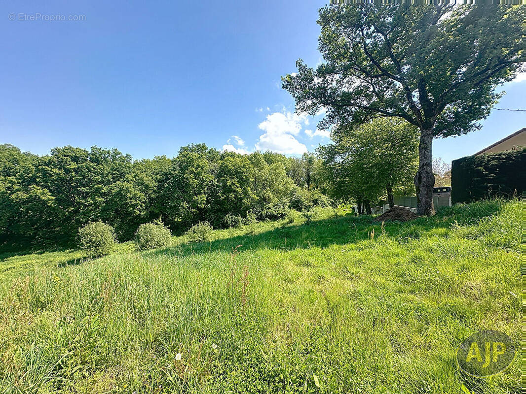 Terrain à SAINT-MACAIRE-EN-MAUGES