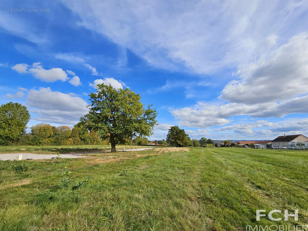 Terrain à BELLERIVE-SUR-ALLIER