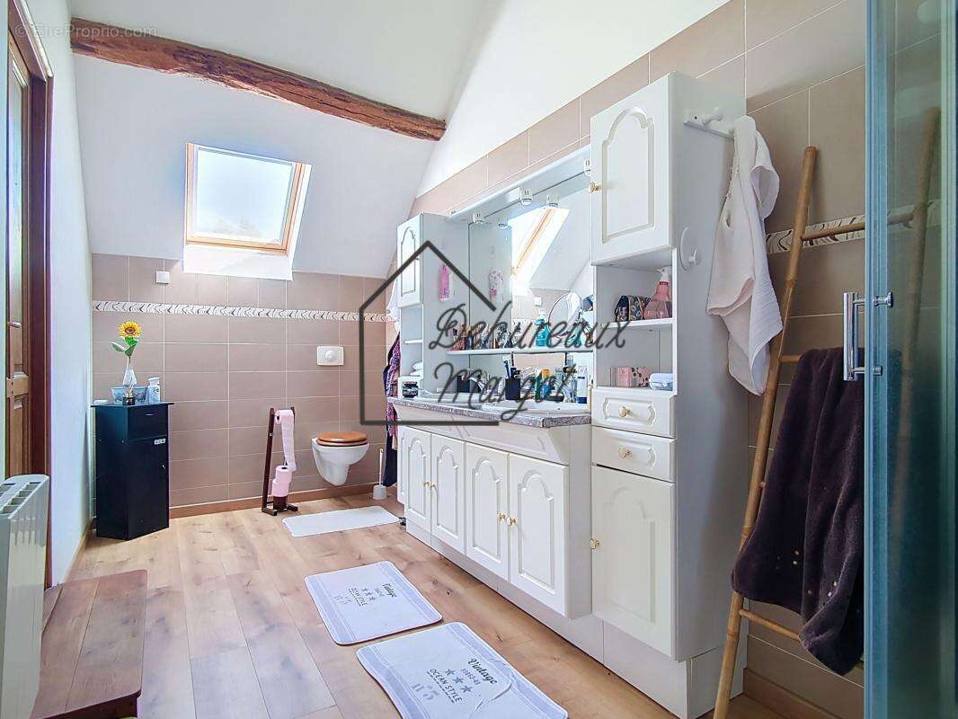 Maison 244 m² à Mazieres-De-Touraine  - photo 8