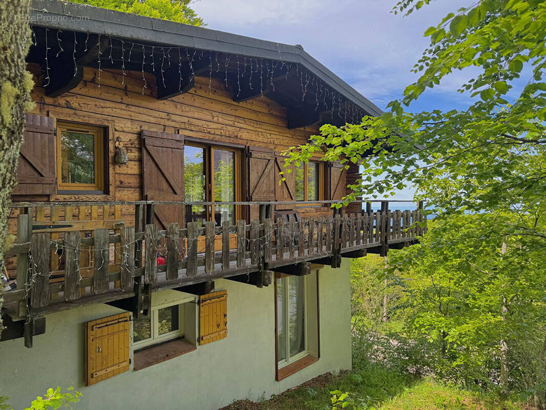 Maison à MONTFERRIER