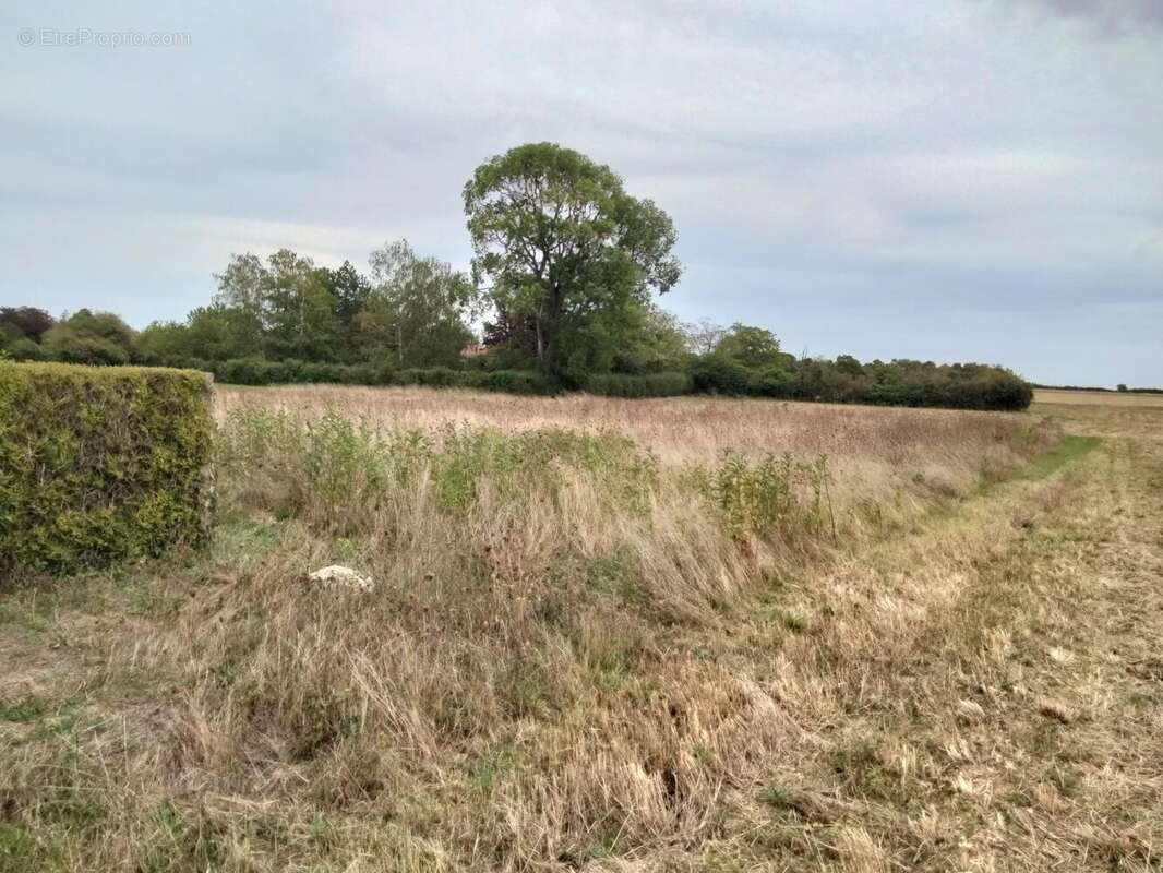 Terrain à YVERSAY