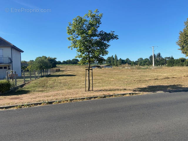 Terrain à MARINGUES