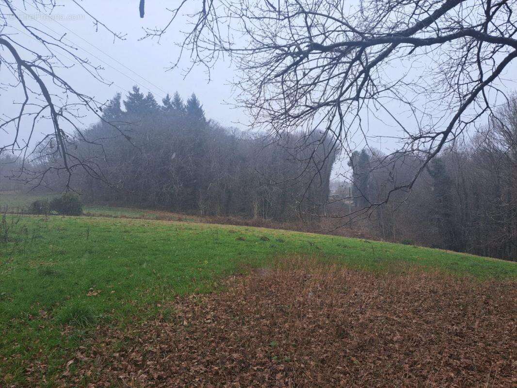 Terrain à SAINT-SORNIN-LAVOLPS