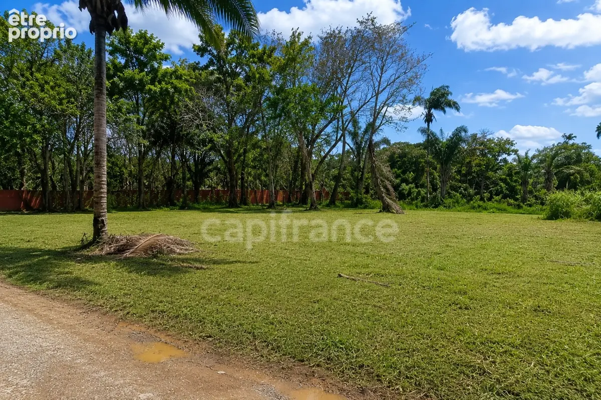 Terrain constructible de 1008 m² à vendre à Sainte Agathe - MACOURIA (973) - photo 5