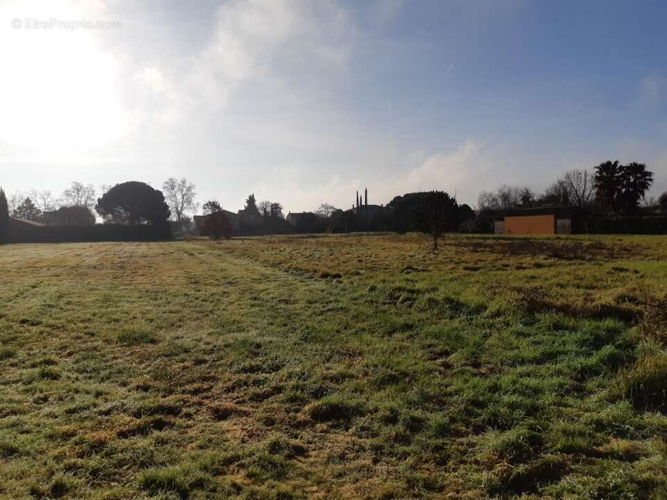 Terrain à SAINT-JORY