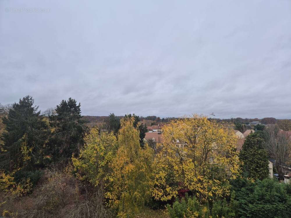 Rambouillet centre - photo 11